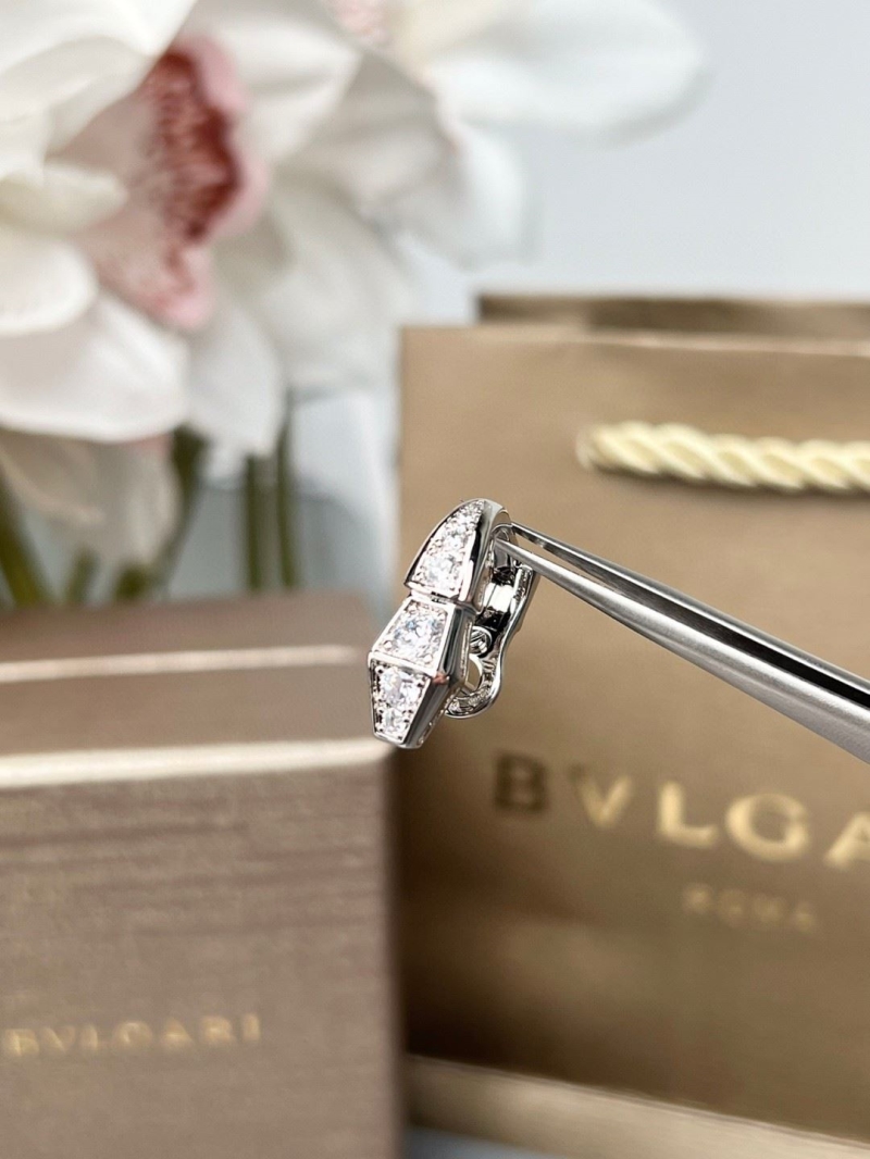 Bv1g*ai earrings